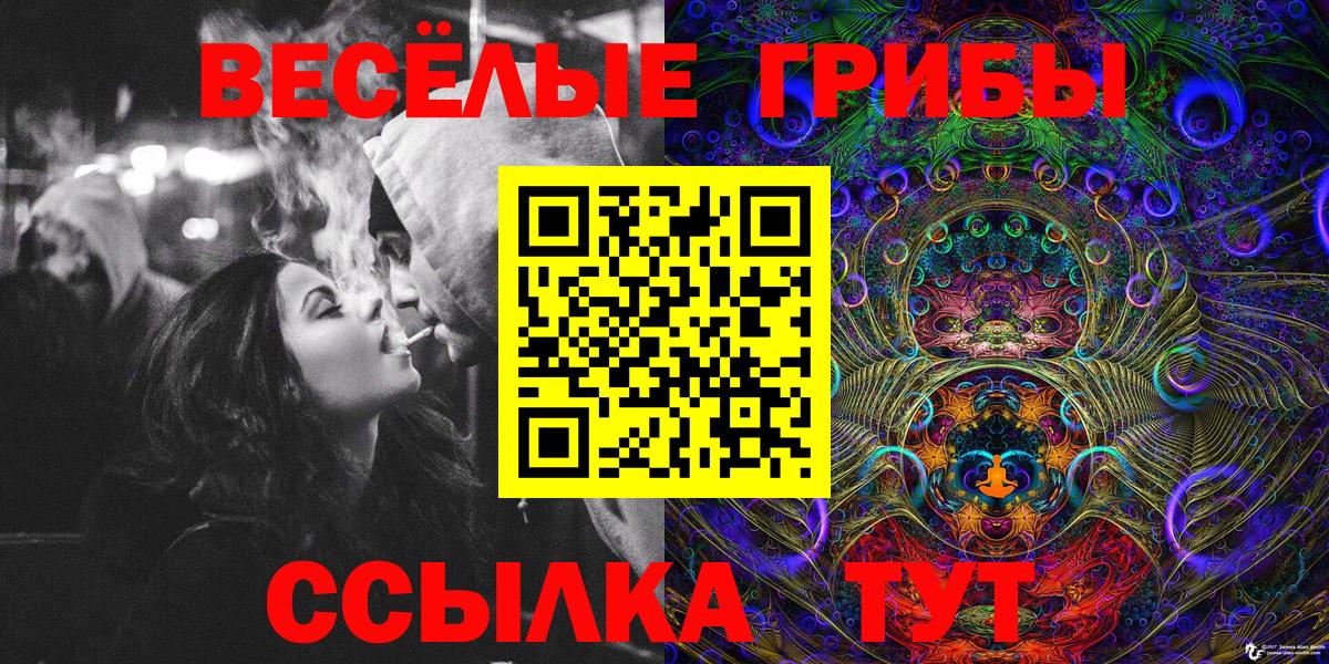 Псилоцибиновые грибы GOLDEN TEACHER Добрянка